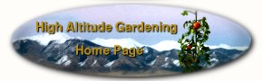 home page